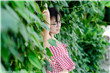 黑帮奶爸